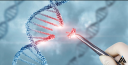 The Intersection of AI and Gene Editing: New Breakthroughs
